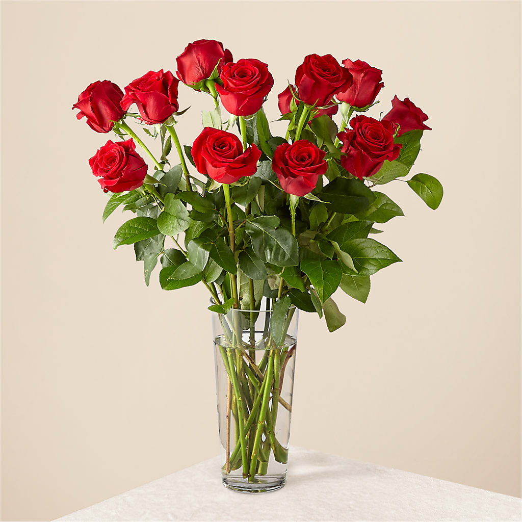 Long Stem Red Rose Bouquet – Kennewick Flower Shop Inc, Kennewick WA