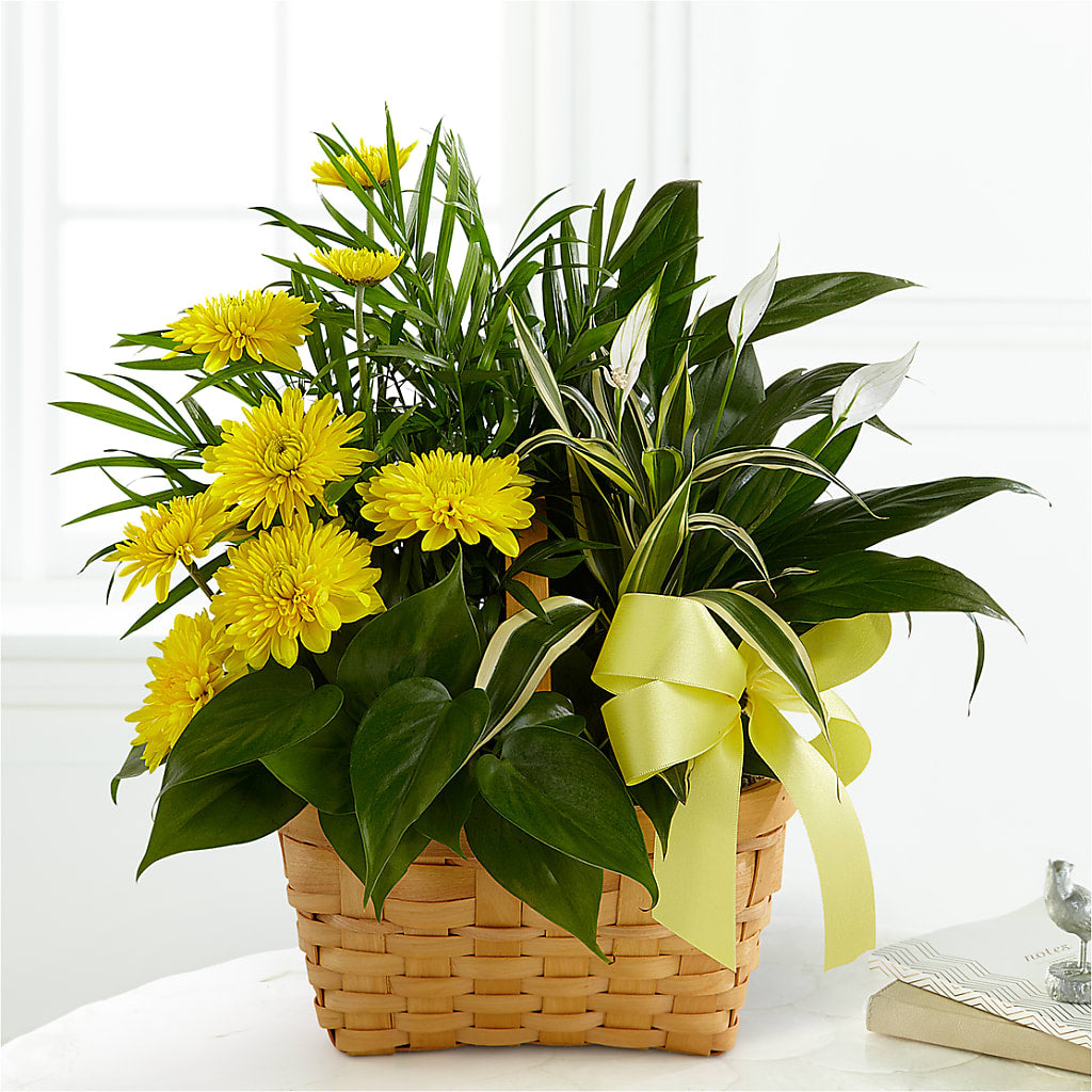 Loving Light Dishgarden – Kennewick Flower Shop Inc, Kennewick WA