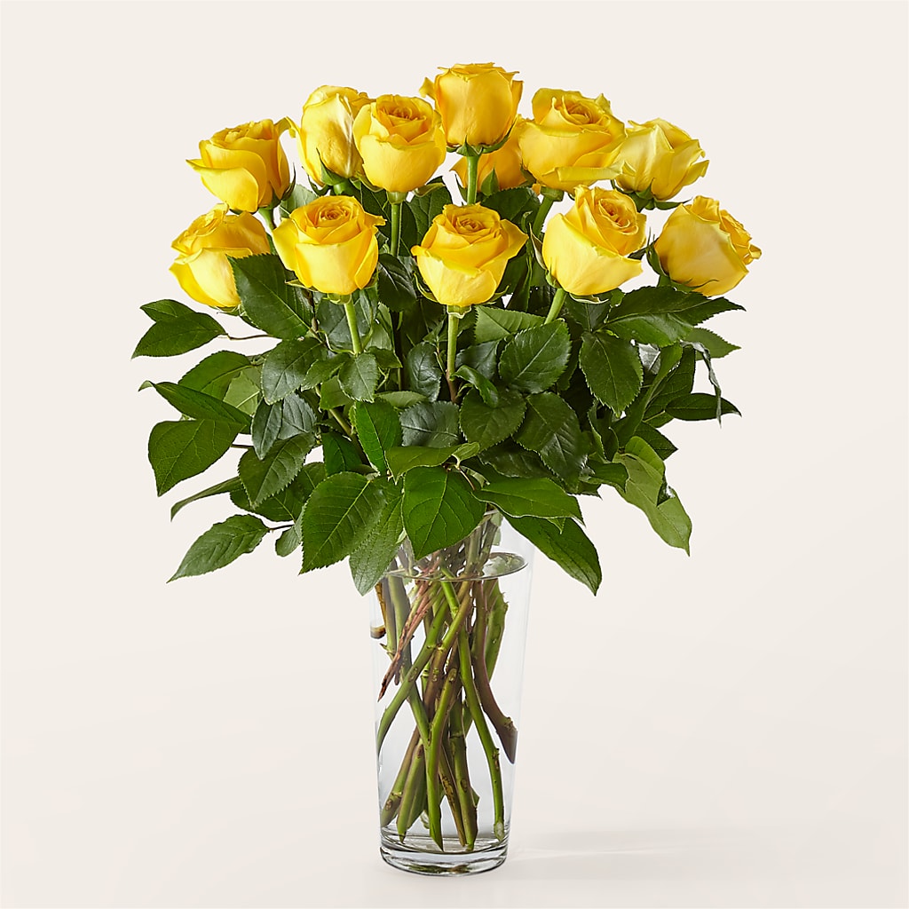 Long Stem Yellow Rose Bouquet – Kennewick Flower Shop Inc, Kennewick WA