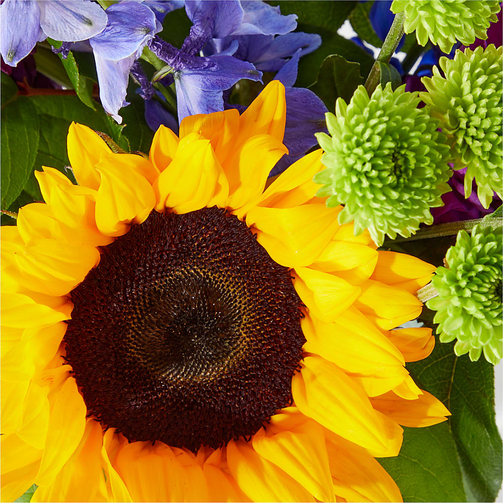 Catching Rays Bouquet – Kennewick Flower Shop Inc, Kennewick WA