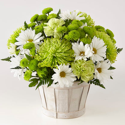 Lucky Charm Basket (Standard) –  Kennewick Flower Shop Inc, Kennewick WA