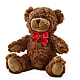 Adorable Plush Bear –  Kennewick Flower Shop Inc, Kennewick WA