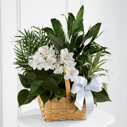 Peace & Serenity Dishgarden –  Kennewick Flower Shop Inc, Kennewick WA