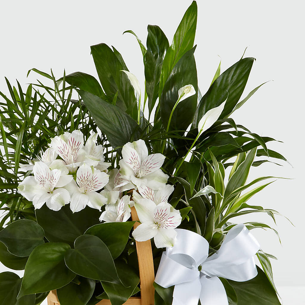 Peace & Serenity Dishgarden –  Kennewick Flower Shop Inc, Kennewick WA