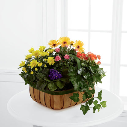 Gentle Blossoms Basket –  Kennewick Flower Shop Inc, Kennewick WA