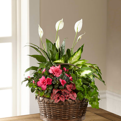 Dream in Pink Dishgarden –  Kennewick Flower Shop Inc, Kennewick WA