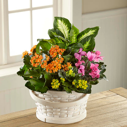 Color Crush Dishgarden –  Kennewick Flower Shop Inc, Kennewick WA