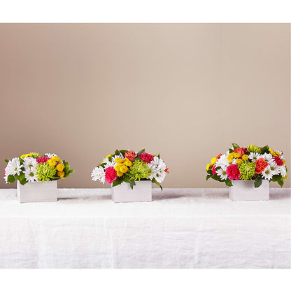 Sorbet Bouquet –  Kennewick Flower Shop Inc, Kennewick WA