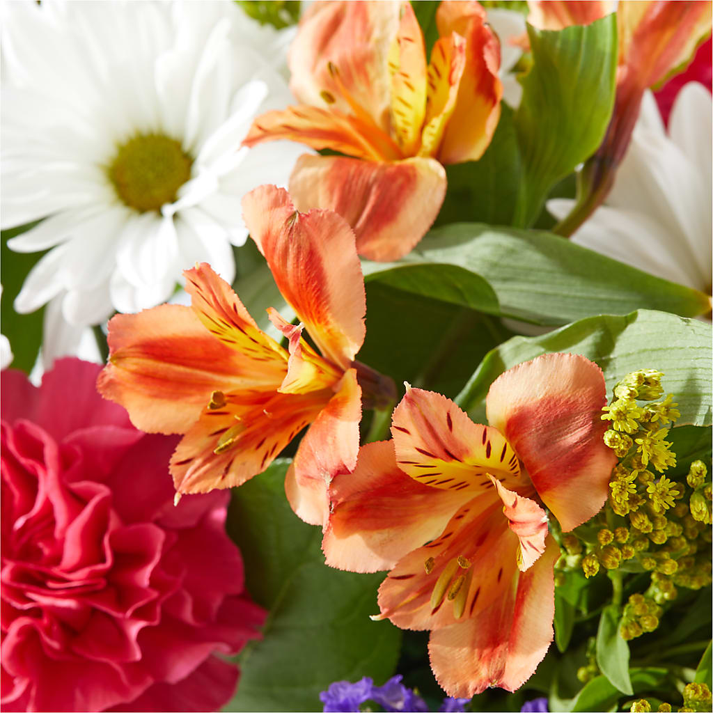 Oopsie Daisy Box Bouquet –  Kennewick Flower Shop Inc, Kennewick WA