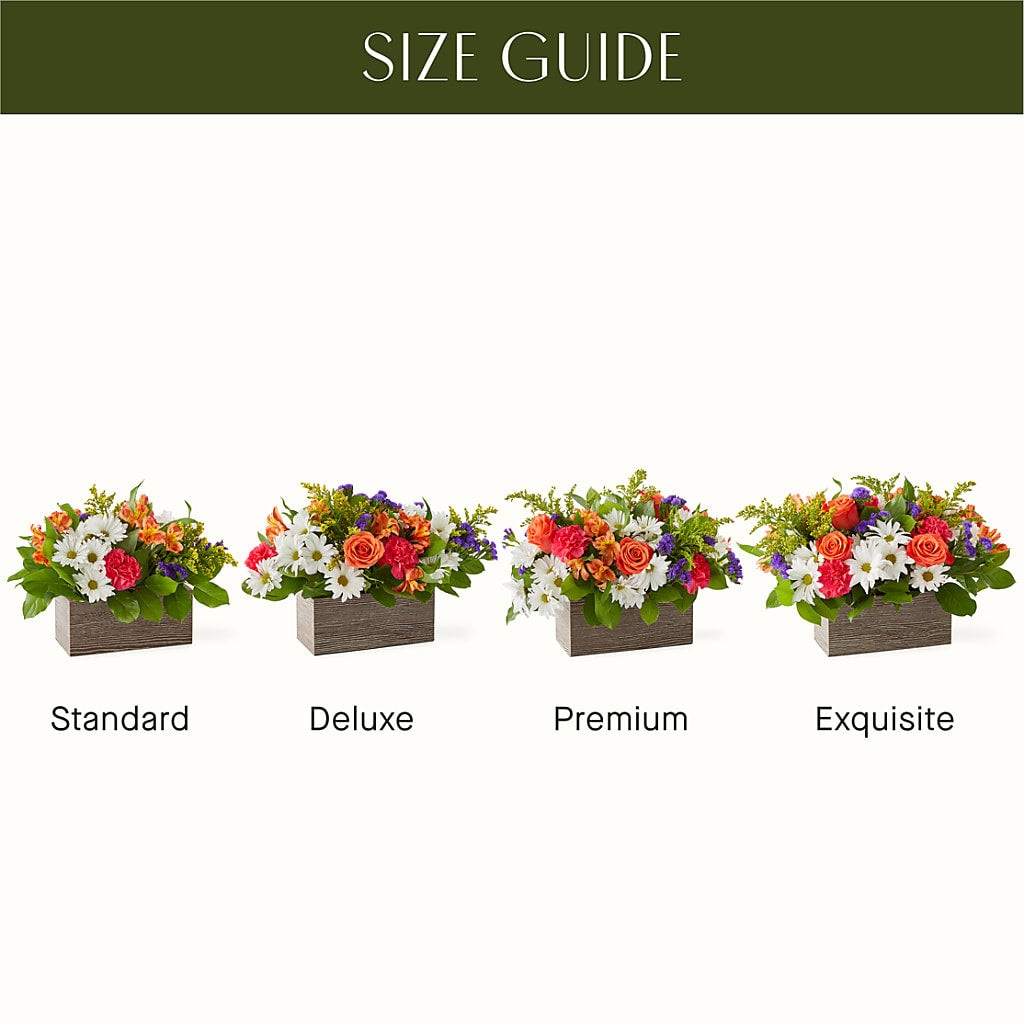 Oopsie Daisy Box Bouquet –  Kennewick Flower Shop Inc, Kennewick WA
