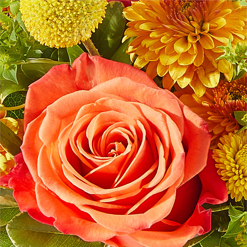 Gourdgeous Pumpkin –  Kennewick Flower Shop Inc, Kennewick WA