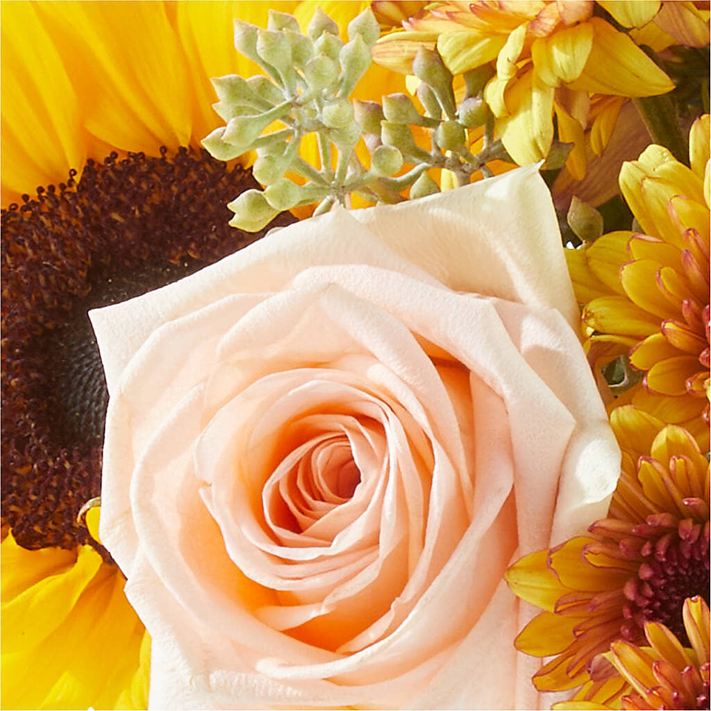 Pumpkin to Talk About Bouquet –  Kennewick Flower Shop Inc, Kennewick WA