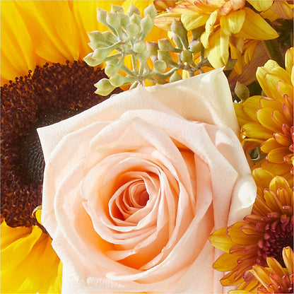 Pumpkin to Talk About Bouquet –  Kennewick Flower Shop Inc, Kennewick WA