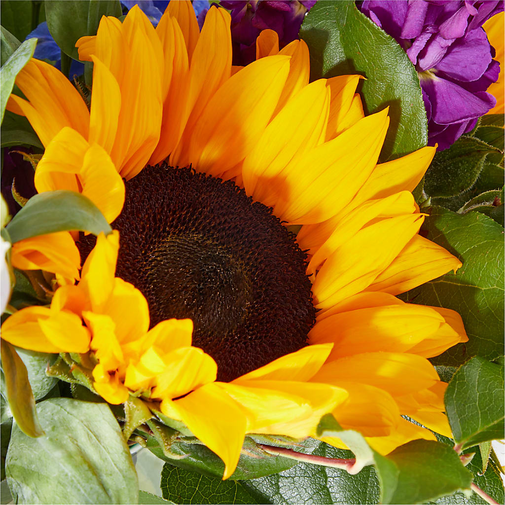 Catching Rays Bouquet –  Kennewick Flower Shop Inc, Kennewick WA