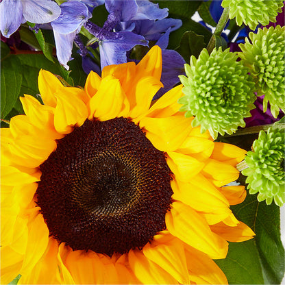 Catching Rays Bouquet –  Kennewick Flower Shop Inc, Kennewick WA