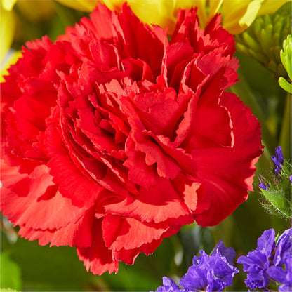 Brighter Days Bouquet –  Kennewick Flower Shop Inc, Kennewick WA
