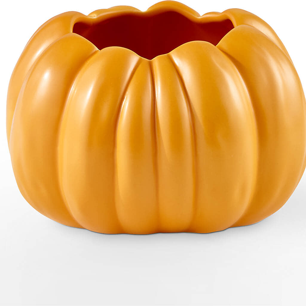 Golden Gourd Pumpkin Bouquet –  Kennewick Flower Shop Inc, Kennewick WA