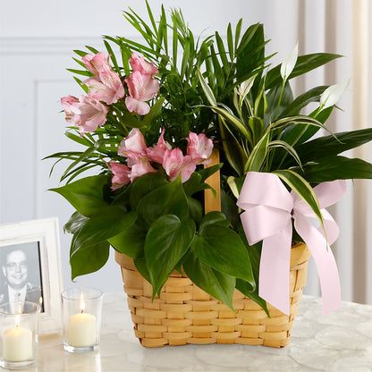 Living Spirit Dishgarden –  Kennewick Flower Shop Inc, Kennewick WA