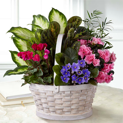 Peaceful Garden Planter –  Kennewick Flower Shop Inc, Kennewick WA