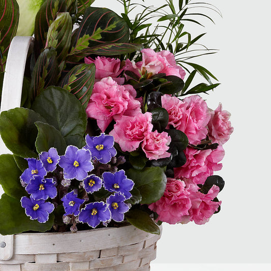 Peaceful Garden Planter –  Kennewick Flower Shop Inc, Kennewick WA