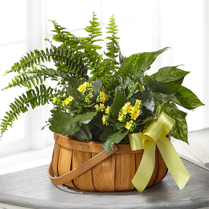 Always Dear Dishgarden –  Kennewick Flower Shop Inc, Kennewick WA
