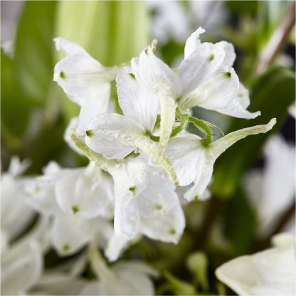 Classic Ivory – A Florist Original –  Kennewick Flower Shop Inc, Kennewick WA
