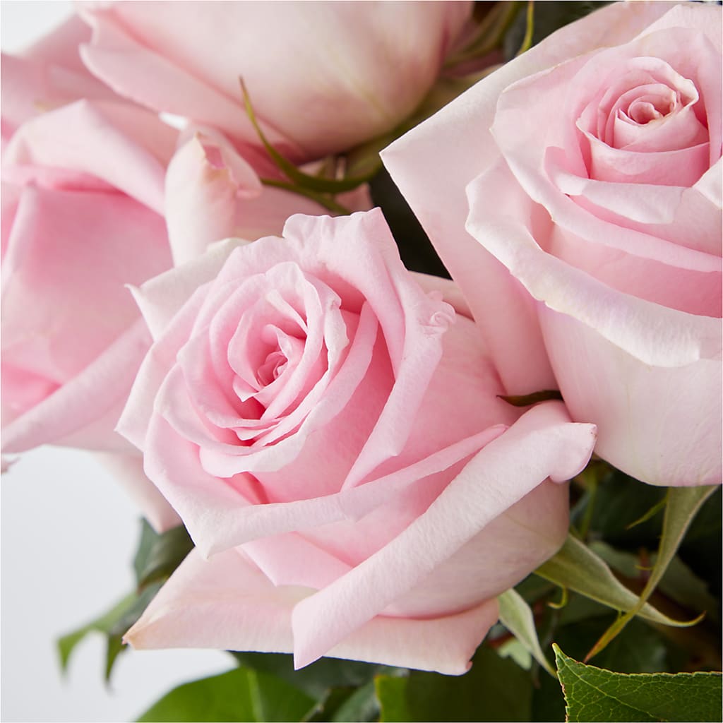 Picture Perfect Pink Rose Bouquet –  Kennewick Flower Shop Inc, Kennewick WA