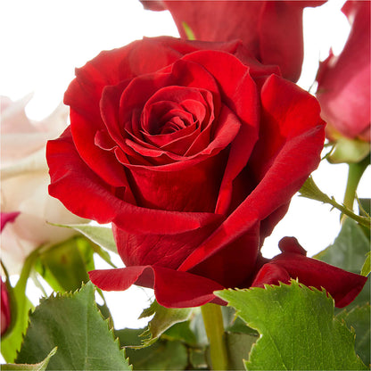 Love Notes Rose Bouquet –  Kennewick Flower Shop Inc, Kennewick WA