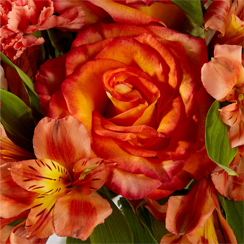 Apricot Glow Bouquet –  Kennewick Flower Shop Inc, Kennewick WA