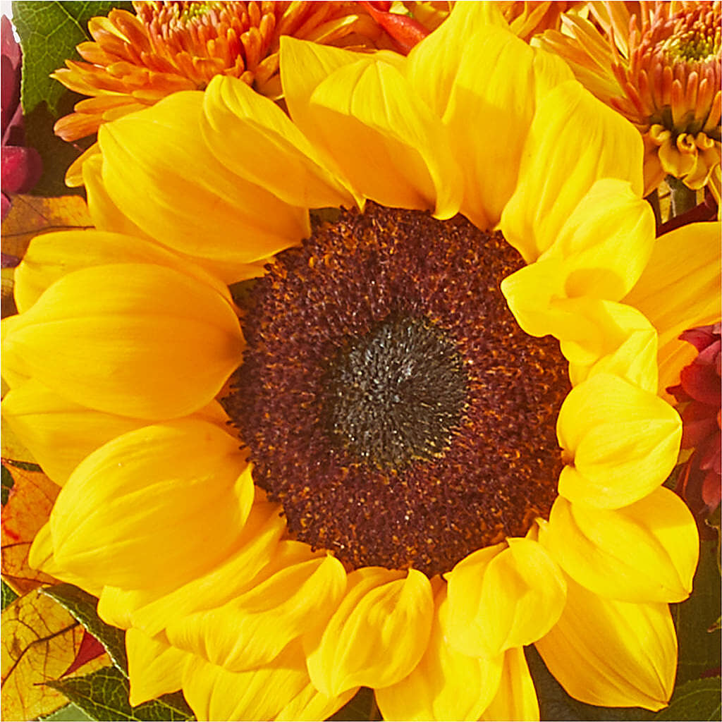 Sunny Side Bouquet –  Kennewick Flower Shop Inc, Kennewick WA