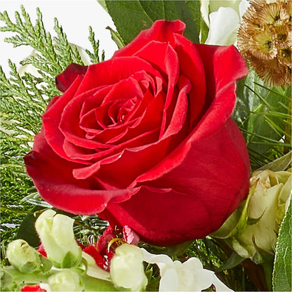 Deck the Halls Bouquet –  Kennewick Flower Shop Inc, Kennewick WA