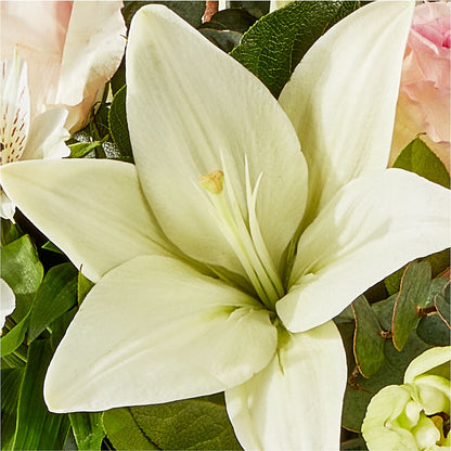 Ballet Slippers Bouquet –  Kennewick Flower Shop Inc, Kennewick WA