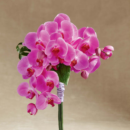 Glorious Bouquet –  Kennewick Flower Shop Inc, Kennewick WA