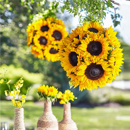 Sublime Garden Hanging Arrangement –  Kennewick Flower Shop Inc, Kennewick WA