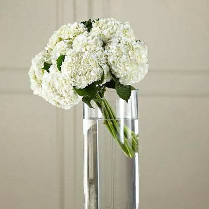 White Hydrangea Hand-Tied Bouquet –  Kennewick Flower Shop Inc, Kennewick WA